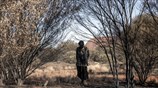 «Πράσινο» οδοιπορικό έως τον ιερό βράχο των Αβορίγινων