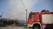 Σε εξέλιξη πυρκαγιά στο δάσος Δραγουντέλι, στη Χαλκιδική