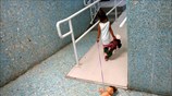 Παιχνίδι στο καταφύγιο