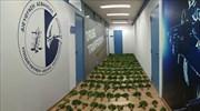 ΕΛΑΣ: Εξάρθρωση μεγάλου κυκλώματος κάνναβης, με έσοδα έξι εκατ. ευρώ