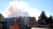 Υπό έλεγχο η πυρκαγιά στο Λαγονήσι