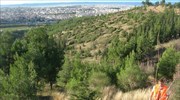Θεσσαλονίκη: Πυρκαγιά μικρής έκτασης στο Σέιχ Σου από κεραυνό