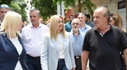 Φ. Γεννηματά: Να μειωθεί το ΦΠΑ στους αγρότες στο 13%