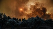 Κάρυστος: Εκκενώθηκαν κατοικίες λόγω της πυρκαγιάς