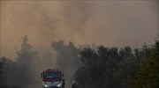 Υπό μερικό έλεγχο η πυρκαγιά στην Κάρυστο