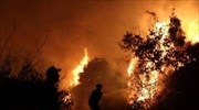 Εύβοια: Μάχη με τις φλόγες σε τρία μέτωπα