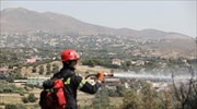 Υπό έλεγχο η πυρκαγιά στα Σπάτα