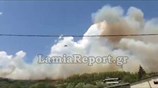 Φωτιά στη Δυτική Φθιώτιδα