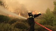 Υπό μερικό έλεγχο η δασική πυρκαγιά στη Μάνδρα