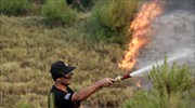 Αττική: Πυρκαγιά σε δασική έκταση στη Φυλή