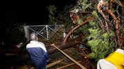 Χαλκιδική: Πάνω από 600 κλήσεις στην Πυροσβεστική