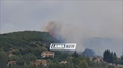 Υπό μερικό έλεγχο οι πυρκαγιές στη Φθιώτιδα και στο Πευκί Εύβοιας