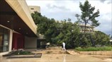 Χαλκιδική: Θάνατο και καταστροφή άφησε πίσω της η κακοκαιρία