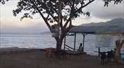 Ισχυρός σεισμός στην Ινδονησία