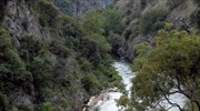 Belgian woman, 50, collapses, dies during trek through Crete gorge