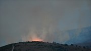 Μαίνεται η πυρκαγιά στον Κιθαιρώνα Αττικής
