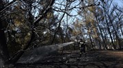 Wildfire erupts on Tues. afternoon near blaze-devastated Mati settlement