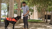 «Τηλεχειριζόμενος» σκύλος λαμβάνει και κατανοεί εντολές μέσω ειδικού γιλέκου