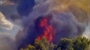 Δασική πυρκαγιά στην Αργολίδα - Μεγάλη κινητοποίηση της πυροσβεστικής