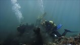 Τα «πλαστικά κοράλλια» της Άνδρου