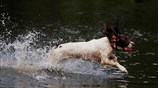 Βροχή στο Μάντσεστερ