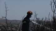 Πυρκαγιά στο ρέμα Κοκκιναρά Κηφισιάς