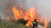 Μαίνονται μεγάλες πυρκαγιές σε Αρχαία Ολυμπία και Δομοκό