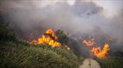 Πυρκαγιά στην περιοχή Ανεμοχώρι Ηλείας