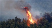 Ηράκλειο: Στο αυτόφωρο 38χρονος και ανήλικος για την πυρκαγιά στο Γιούχτα