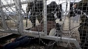 Βοσνία: 18 μετανάστες τραυματίστηκαν στην προσπάθεια τους να διασχίσουν τα σύνορα