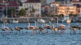 Ευχάριστες επισκέψεις στο Ναύπλιο