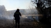 59 πυρκαγιές εκδηλώθηκαν σε 24 ώρες - Σε γενική επιφυλακή και την Κυριακή