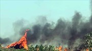Wildfire on eponymous islet of Elafonissos