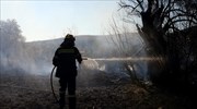 Υπό έλεγχο οι πυρκαγιές σε Ζάκυνθο και Κιλκίς