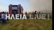 Υπό μερικό έλεγχο η πυρκαγιά στη Βάρδα Ηλείας