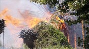 Σε εξέλιξη πυρκαγιές σε Άρτα και Μεσσηνία
