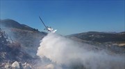 Fire brigade: Total of 67 wildfires in Greece over 24h period; most extinguished immediately
