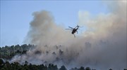 More wildfires erupt overnight, biggest blaze in north-central Evia