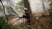 Πυρκαγιά και στην Ιστιαία Εύβοιας