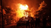 Εύβοια: Νέα ολονύχτια μάχη με τις φλόγες (βίντεο)