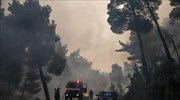 Εύβοια: Συνεχίζεται για τρίτη ημέρα η μάχη με τις φλόγες