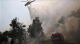 Εύβοια: Τρίτη ημέρα κατάσβεσης
