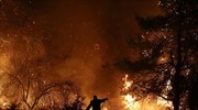Εύβοια: Mάχη για την οριοθέτηση της πυρκαγιάς (βίντεο)