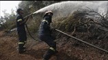 Εύβοια: Χωρίς ενεργό μέτωπο η φωτιά