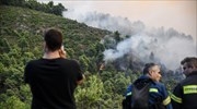 Κοζάνη: Υπό έλεγχο η φωτιά στην Ελάτη