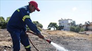 Σαλαμίνα: Υπό έλεγχο η φωτιά- δεν απειλήθηκαν κατοικίες