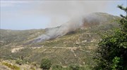 Δασικές πυρκαγιές σε Κεφαλονιά και Πάργα