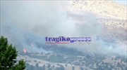 Καστοριά: Πυρκαγιά στη Λεύκη