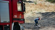 Υπό έλεγχο η φωτιά στη Σαλαμίνα