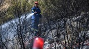 Δασική πυρκαγιά στον Μαραθώνα Αττικής